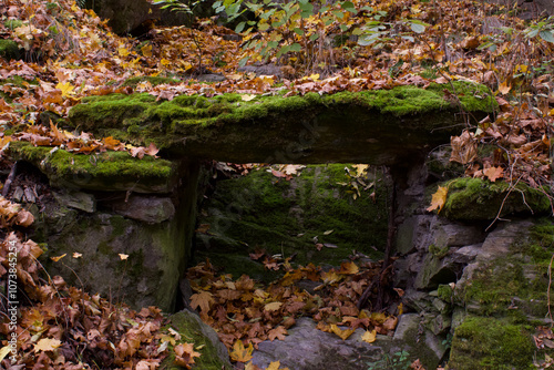 Ruined blocks of stones in the autumn forest overgrown with moss