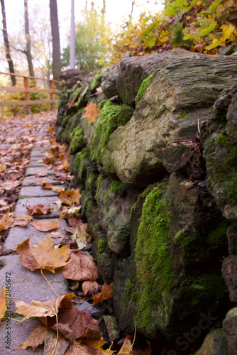 the path in the park is covered with autumn leaves, which has a fence made of natural stone covered with green moss
