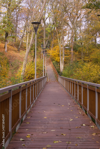 a wooden bridge with lanterns leading through the autumn park