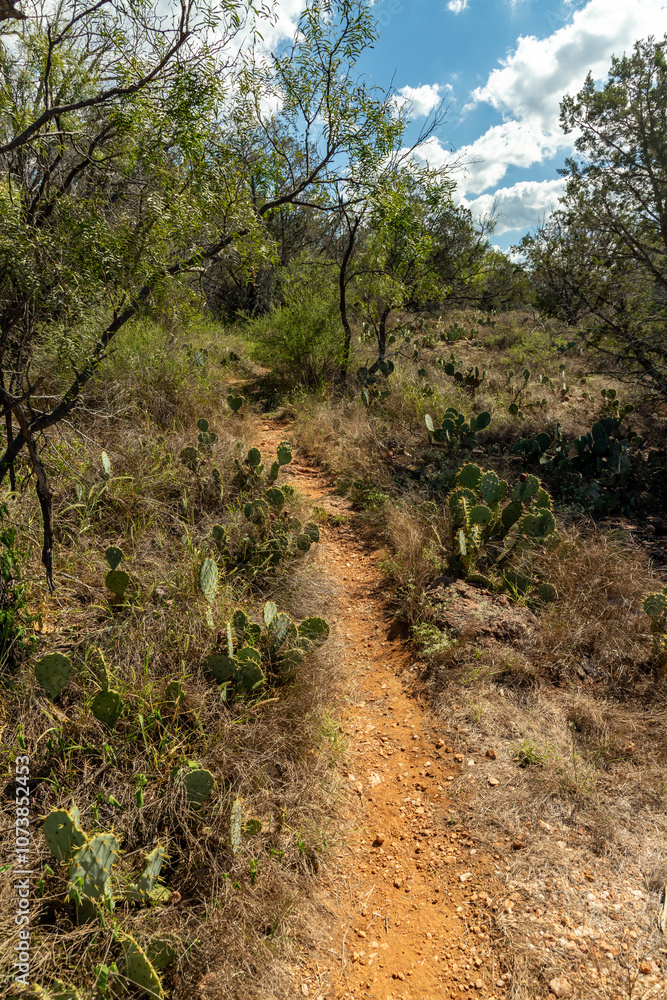 Fototapeta premium Trail around rocks and vegetation at Inks lake