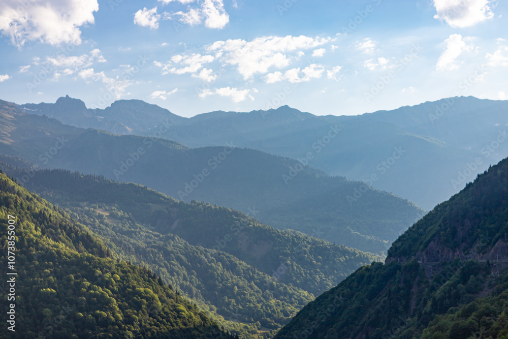 Beautiful Svaneti landscape with forest and mountains near Mestia in Summer. Upper Svaneti region, Georgia.