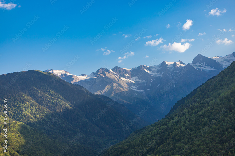 Beautiful Svaneti landscape with forest and mountains near Mestia in Summer. Upper Svaneti region, Georgia.