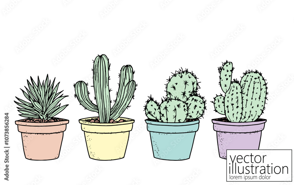 Set of cactus succulent plants. Home plants one line ink sketch flowers in a pot decorative houseplant. Contour outline vector illustration Set of cactus succulent plants. Home plants one line ink sketch flowers in a pot decorative houseplant. Contour outline vector illustration