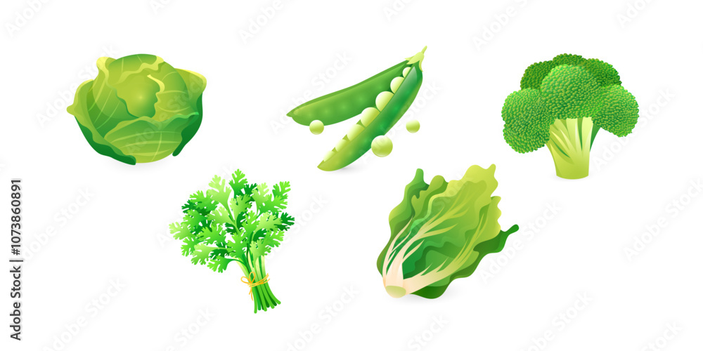 A set of realistic 3D images of green vegetables that are a source of folic acid. Broccoli, green peas, cabbage, parsley, lettuce. A set of realistic 3D images of green vegetables that are a source of folic acid. Broccoli, green peas, cabbage, parsley, lettuce.