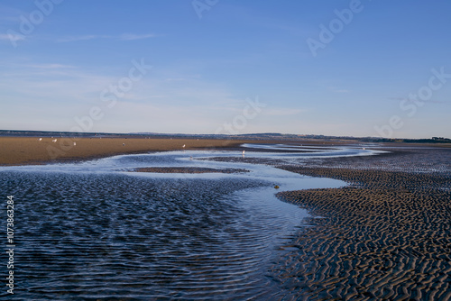 Obraz na płótnie lake in the desert w salonie