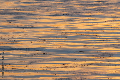 The Ocean at Sunset