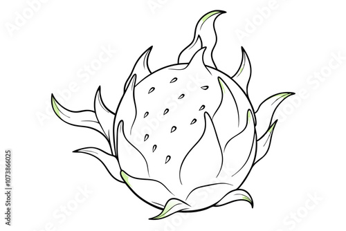 Dragonfruit Line Drawing Vector Elegant Minimalist Fruit Illustration