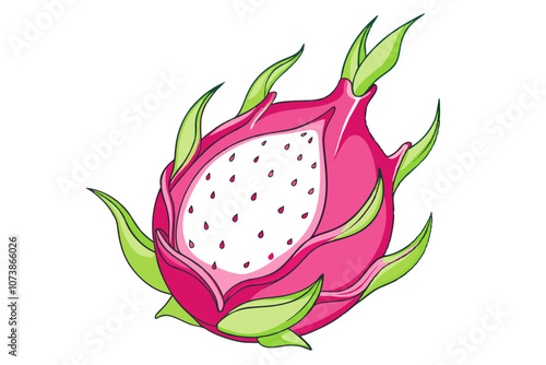 Dragonfruit Line Drawing Vector Elegant Minimalist Fruit Illustration