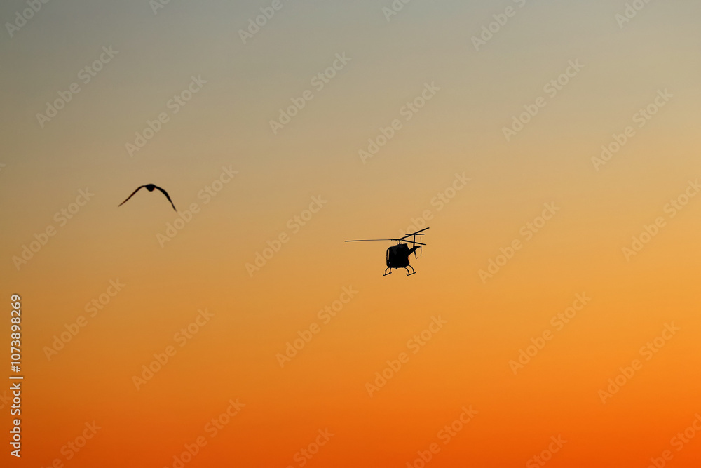 Fototapeta premium Helikopter o zachodzie słońca i stado ptaków. 
