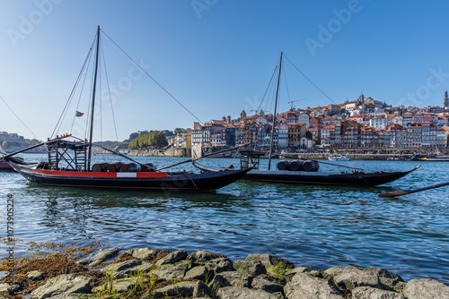View of Porto from the banks of the Douro River