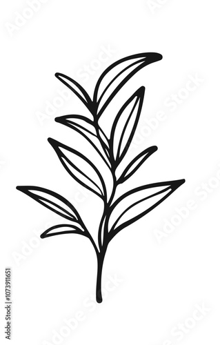 Green tea leaves. Hand drawn outline illustration of branch with leaves.