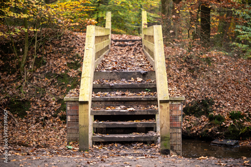 Borsdane Woods, on the border of Hindley, Wigan, and Westhoughton, Bolton, in autumn. photo