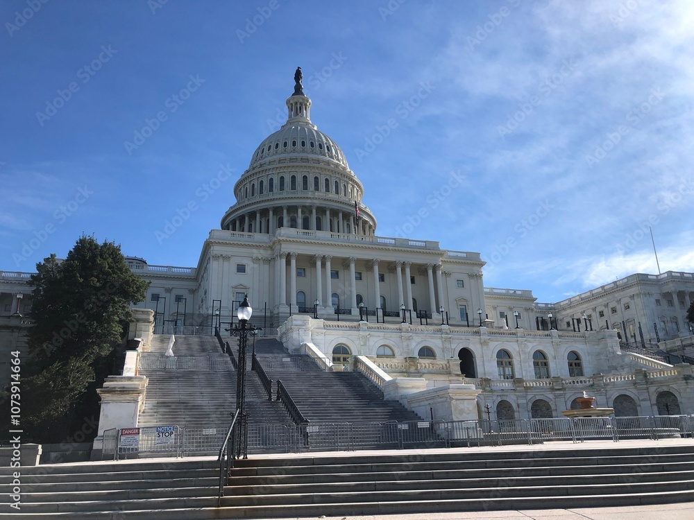 Fototapeta premium The U.S. Capitol building in Washington, D.C.