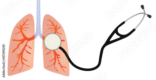 Lungs and stethoscope. vector illustration