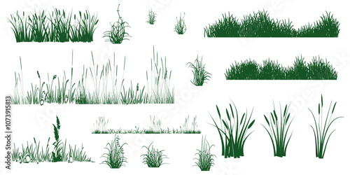 Doodle grass. Sketch natural field grass. Outline hand drawn wild grassy plants. 