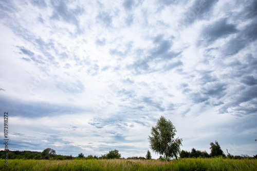 This is a beautiful and serene landscape featuring a cloudy sky and an isolated tree