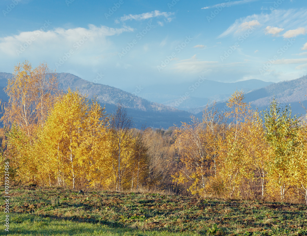 Fototapeta premium Morning Carpathian mountain autumn landscape.