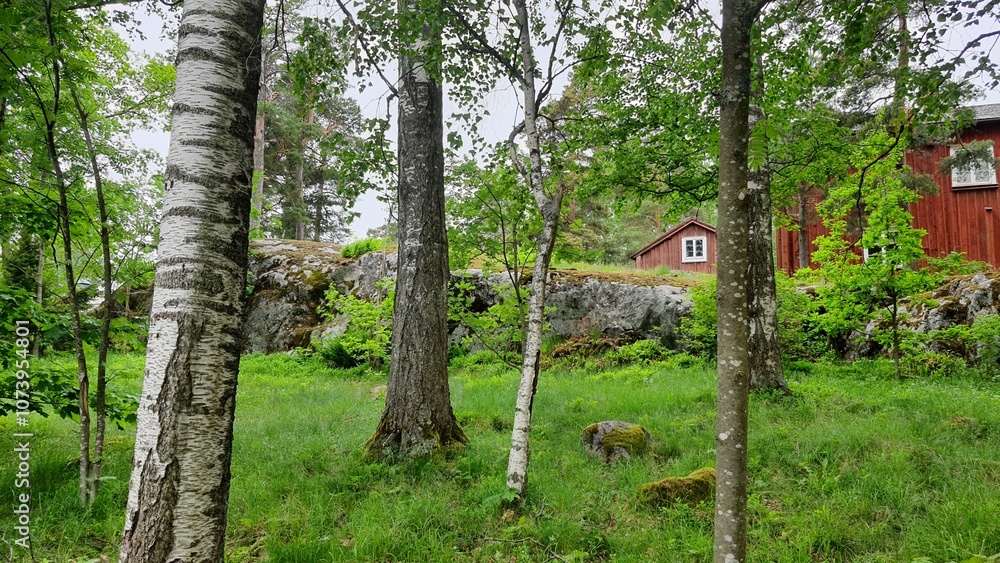 Obraz premium finland helsinki vacation travel amateur photo