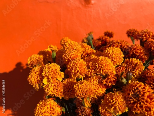 Bouquet of marigolds against an orange wall for Day of the Dead in Mexico