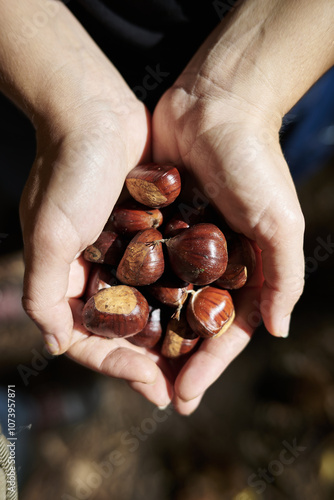 Handful of chestnuts