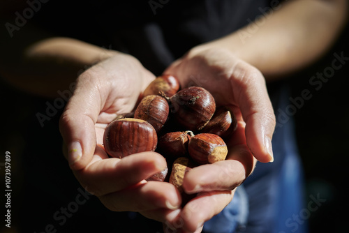 Handful of chestnuts