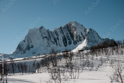 Wallpaper Mural Majestic, beautiful mountains covered with snow, past which runs a road fenced with barriers Torontodigital.ca