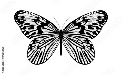 Butterfly Idea idea a vector illustration