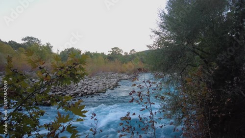 Blue clear river flowing in a valley surrounded by trees in a forest. Köprülü Canyon, Antalya, Turkey.