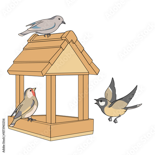 Wild birds on the feeder
