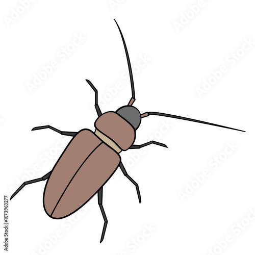 longhorn beetle forest pest insect