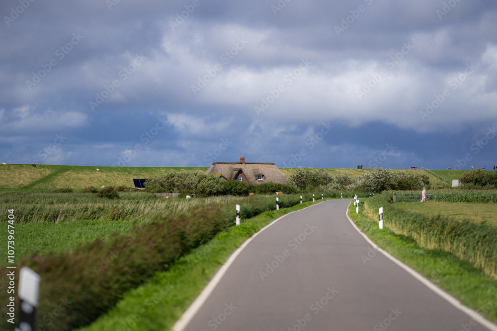 Obraz premium Countryside road. Driving down an empty road. Highway in mountains. Car driving on road. Road landscape. Car trip. Destination.