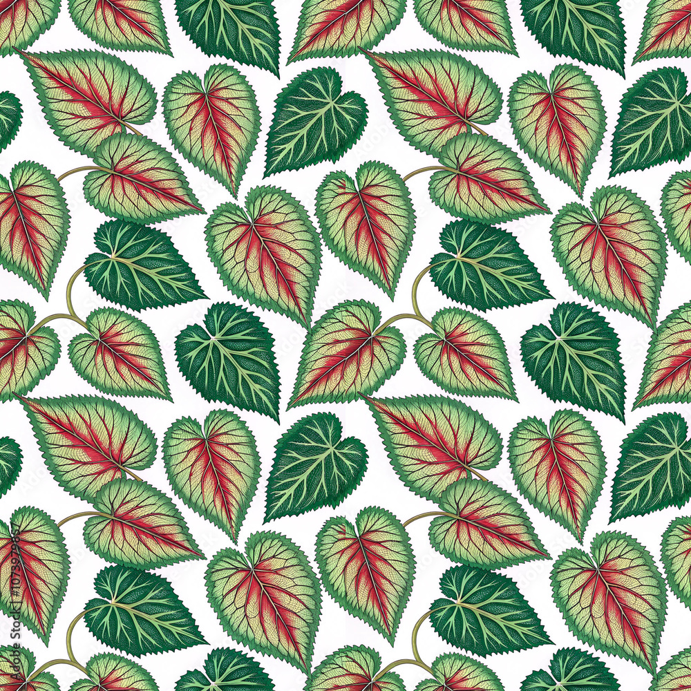 Heart-shaped green and red leaf pattern with botanical design Heart-shaped green and red leaf pattern with botanical design