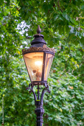 Lamp I publish under green leaf tree canopy bottom, London