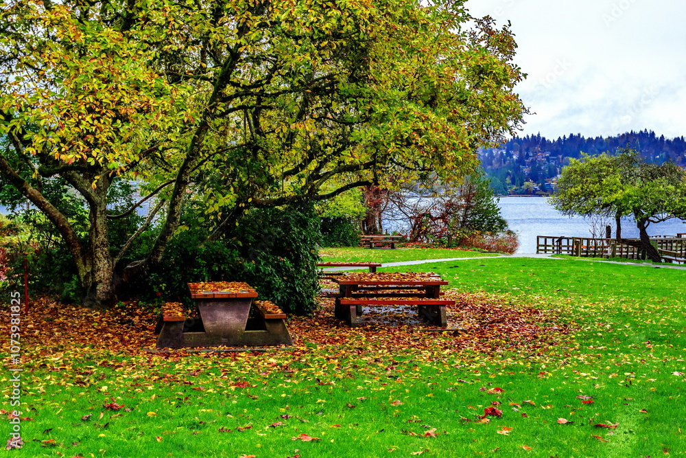 Fototapeta premium A late autumn evening at a picnic area in Belcarra Regional Park on the shore of the bay. Picnic tables are located on the shore under deciduous trees covered with fallen leaves