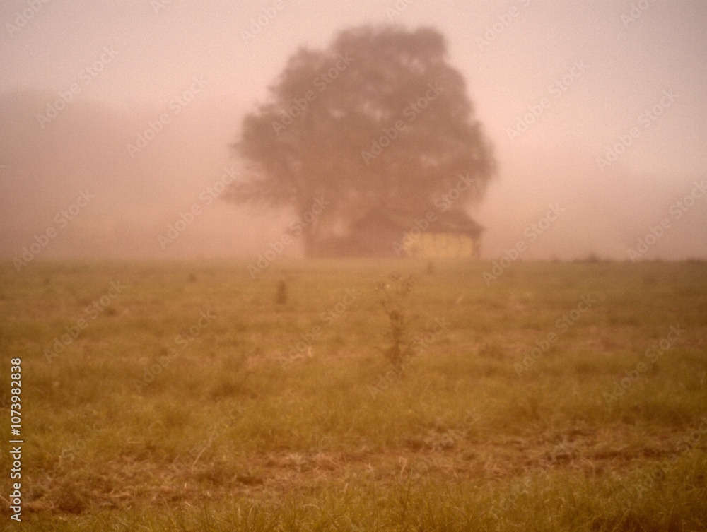 autumnal landscape in the fog autumnal landscape in the fog