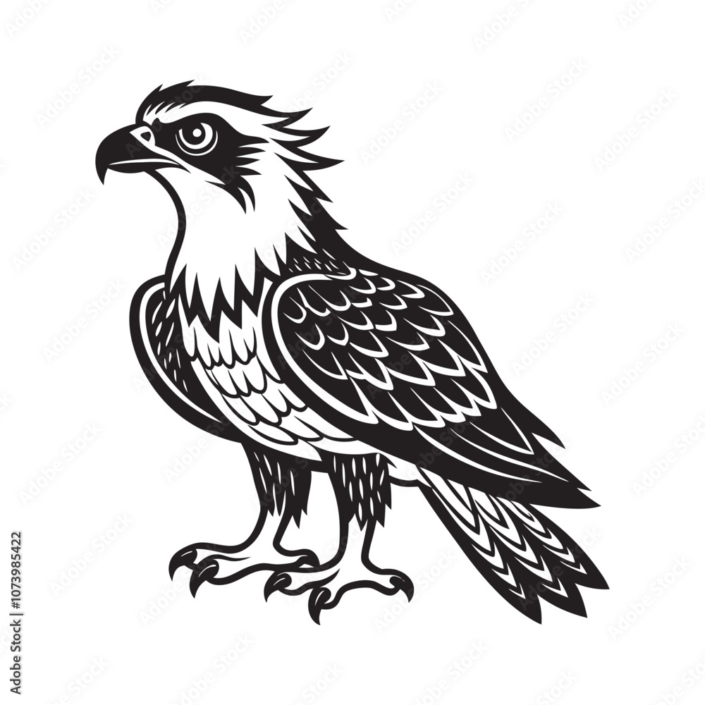 American osprey bird silhouette vector art illustration American osprey bird silhouette vector art illustration