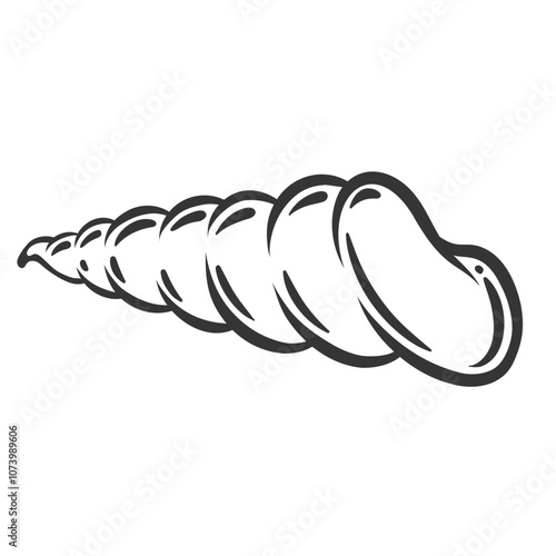 Spiral cone shell of snail line icon. Outline hand drawn long seashell, vintage clam of coral reefs. Marine gastropod mollusk, aquarium decoration, wildlife mascot, shell icon vector illustration