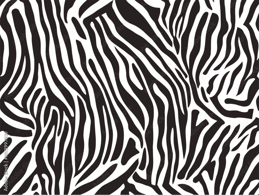 Zebra print pattern texture jungle vector background. Zebra skin pattern abstract wildlife design illustration. Zebra print pattern texture jungle vector background. Zebra skin pattern abstract wildlife design illustration.