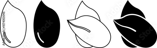peeled peanut seeds icon set set