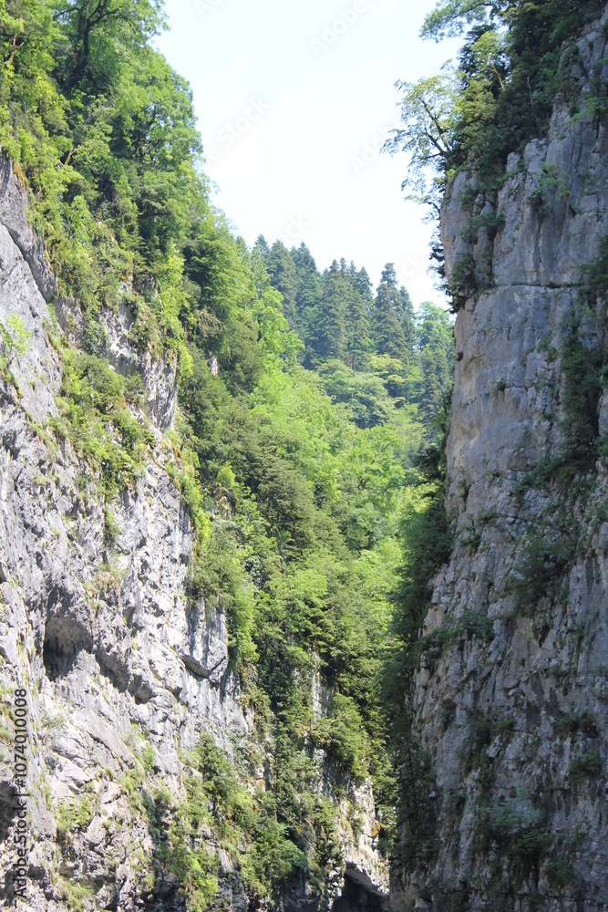 narrow gorge with steep rocky cliffs covered in lush green vegetation. The background consists of a bright sky and dense forested mountains, creating a breathtaking natural landscape. narrow gorge with steep rocky cliffs covered in lush green vegetation. The background consists of a bright sky and dense forested mountains, creating a breathtaking natural landscape.
