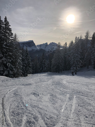Photos Peaceful ski slope surrounded by fir trees, sunlight shining above, late afterno