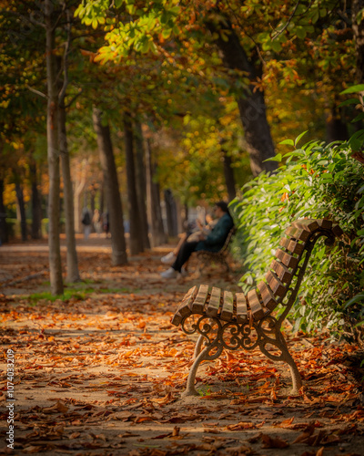 Quiet Autumn Bench in a Leaf-Covered Park Pathway