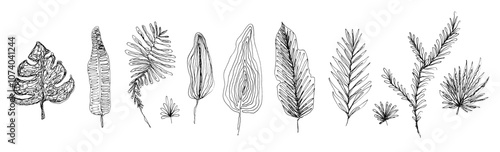Botanical set of abstract freehand vector black ink hand drawn leaves, herbs and branches. Floral sketch one line leaf elements for pattern and tattoo design, greeting card decoration, logo, banner