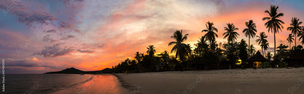 Obraz premium Silhouette palm at sunset
