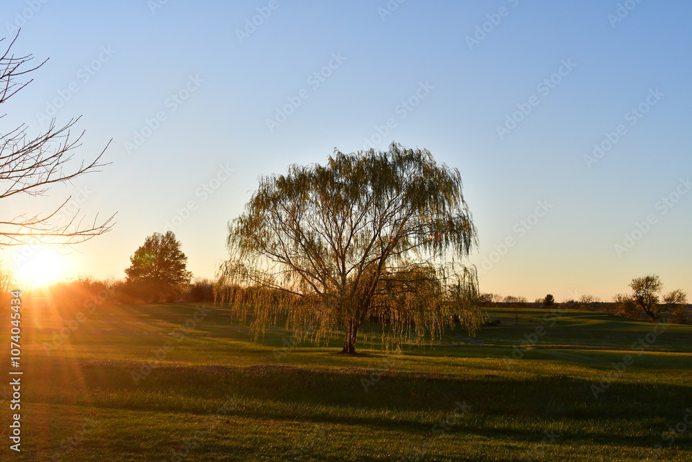 Fototapeta premium Golden Hour Sunset