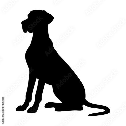 Great Dane Dog Sitting