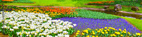 春のカラフルなお花畑と小川の背景素材
