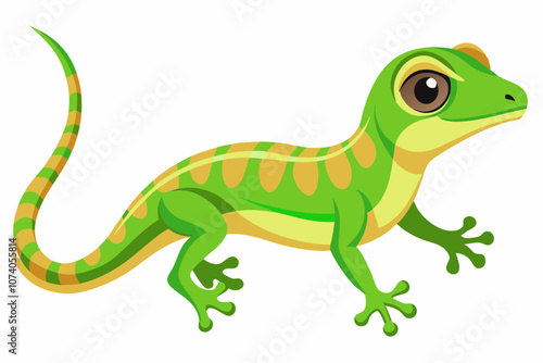  Madagascar day gecko on white background vector illustration photo