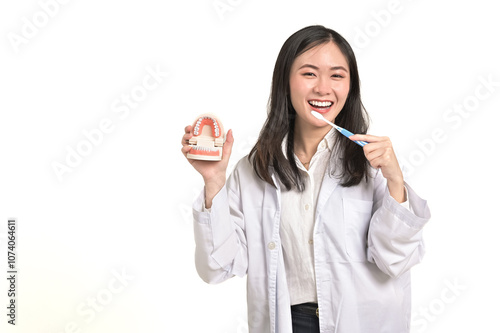 Portrait Asian woman dentist teaching how to brush teeth.Dentist holding tooth model and toothplate isolated on white background.Smiling female dentist doctor examining teeth model diagnosing patient. photo