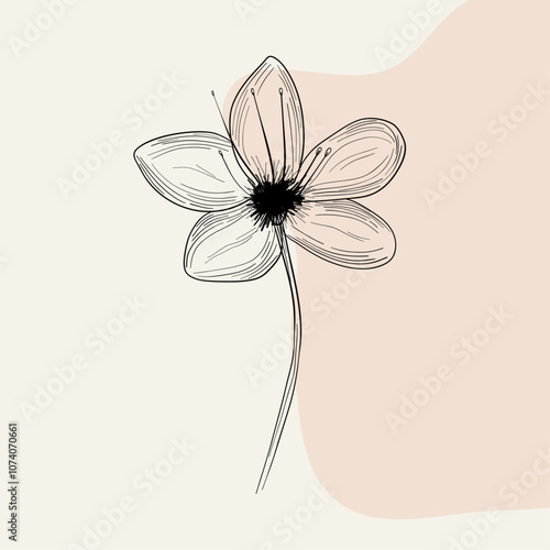 Hand drawn blooming flower spring flower outline with abstract background 